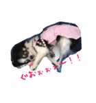 くるみとちょこSTYLE（個別スタンプ：8）