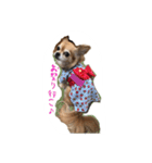 くるみとちょこSTYLE（個別スタンプ：14）