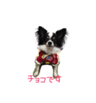 くるみとちょこSTYLE（個別スタンプ：15）