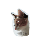ぽんさんです…乙女編（個別スタンプ：3）