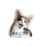 ぽんさんです…乙女編（個別スタンプ：4）