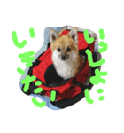 HAPPYorkimoti PartII（個別スタンプ：3）