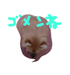 HAPPYorkimoti PartII（個別スタンプ：5）
