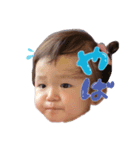 Dejima fam 2（個別スタンプ：8）