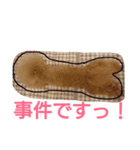 トイプードル まろん＆れお。3（個別スタンプ：2）