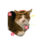 ムギ・リリのきもち（個別スタンプ：1）