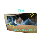 ムギ・リリのきもち（個別スタンプ：4）