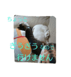 ムギ・リリのきもち（個別スタンプ：5）