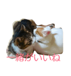 ムギ・リリのきもち（個別スタンプ：7）
