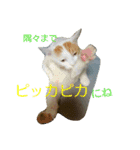 ムギ・リリのきもち（個別スタンプ：10）