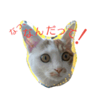ムギ・リリのきもち（個別スタンプ：12）