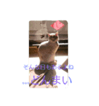 ムギ・リリのきもち（個別スタンプ：13）