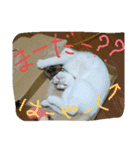 ムギ・リリのきもち（個別スタンプ：14）
