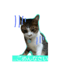 ムギ・リリのきもち（個別スタンプ：15）