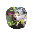 kocchi01（個別スタンプ：6）