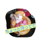 kocchi01（個別スタンプ：10）