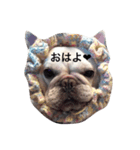フレンチブルドッグのぱぴこりーぬ（個別スタンプ：15）