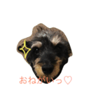 MY DOG URIURI 2（個別スタンプ：1）