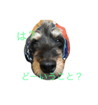 MY DOG URIURI 2（個別スタンプ：2）
