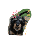 MY DOG URIURI 2（個別スタンプ：3）