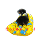 MY DOG URIURI 2（個別スタンプ：5）