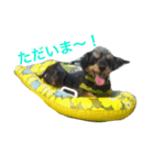 MY DOG URIURI 2（個別スタンプ：6）