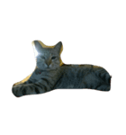 catcatza（個別スタンプ：4）