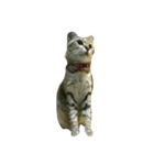 catcatza（個別スタンプ：7）