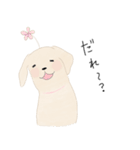さくらとこむぎとあずき（個別スタンプ：1）