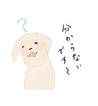 さくらとこむぎとあずき（個別スタンプ：2）