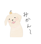 さくらとこむぎとあずき（個別スタンプ：4）