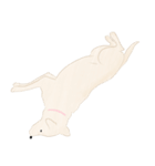 さくらとこむぎとあずき（個別スタンプ：5）