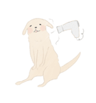 さくらとこむぎとあずき（個別スタンプ：8）