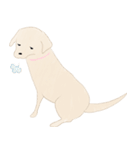 さくらとこむぎとあずき（個別スタンプ：11）