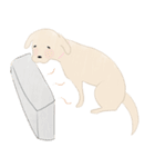 さくらとこむぎとあずき（個別スタンプ：12）