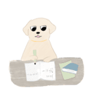 さくらとこむぎとあずき（個別スタンプ：17）