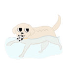 さくらとこむぎとあずき（個別スタンプ：20）