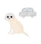 さくらとこむぎとあずき（個別スタンプ：21）