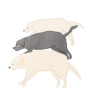 さくらとこむぎとあずき（個別スタンプ：39）