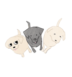 さくらとこむぎとあずき（個別スタンプ：40）