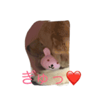 fuwafuwamoco（個別スタンプ：12）