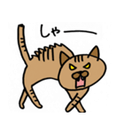 フジ丸の猫スタンプ（個別スタンプ：24）