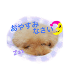 フリベリちゃん0（個別スタンプ：4）