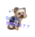 フリベリちゃん0（個別スタンプ：11）