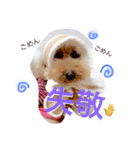 フリベリちゃん0（個別スタンプ：13）