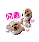 フリベリちゃん0（個別スタンプ：15）