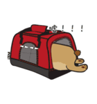 Will dog（個別スタンプ：1）