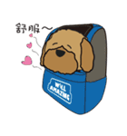 Will dog（個別スタンプ：40）