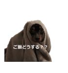 three brothers dogs（個別スタンプ：5）