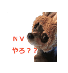 three brothers dogs（個別スタンプ：12）